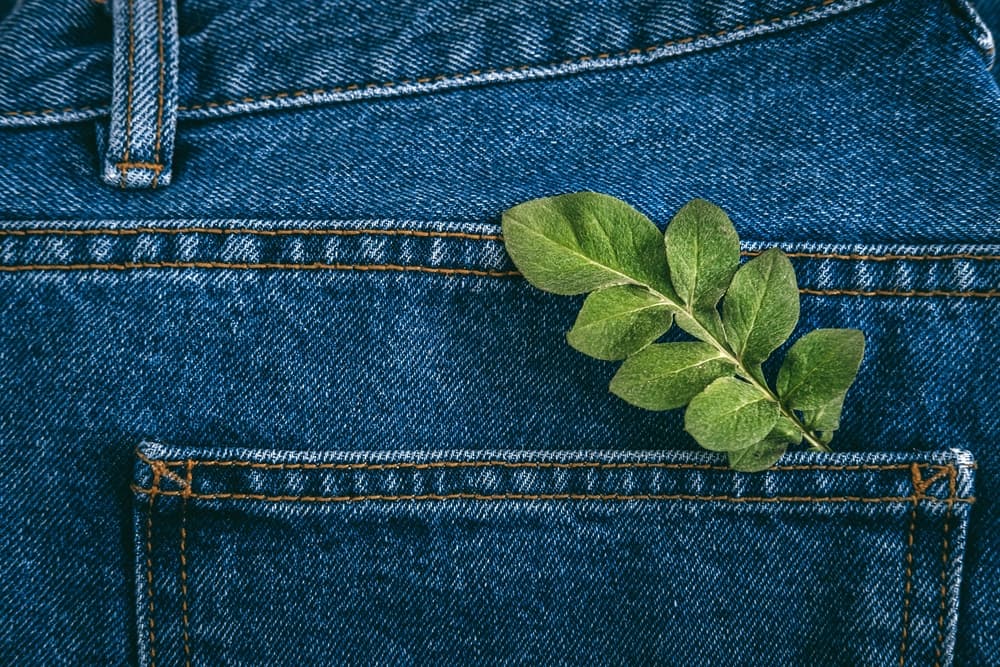 Sustainable fashion concept; green leaf on blue denim jeans.